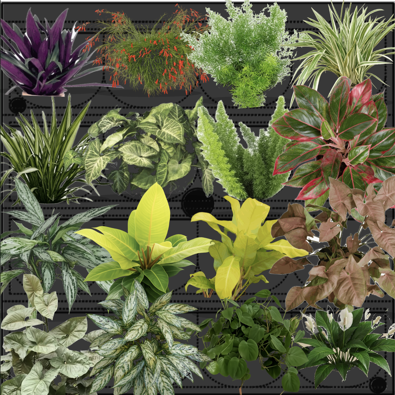 Placa P20R modo feltro com renderização das plantas instaladas